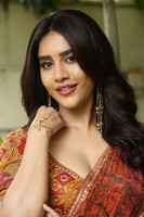 Nabha Natesh Interview Stills